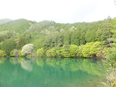 県民の森　伊奈ヶ湖