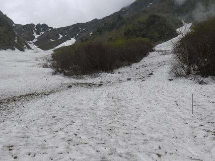 大樺沢の雪渓について