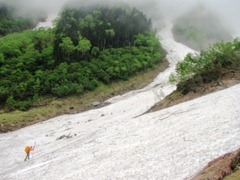 北岳山頂周辺情報　～　６月２５日