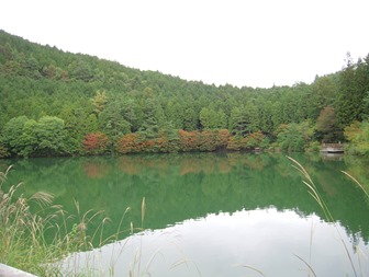 『伊奈ヶ湖』紅葉情報
