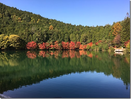 伊奈ヶ湖の紅葉が見頃です！