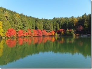 秋の自然観察教室　～紅葉の森をたのしもう～