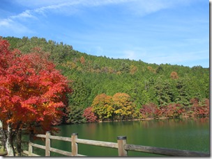 本日の紅葉　～伊奈ヶ湖～