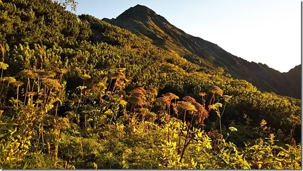 北岳情報