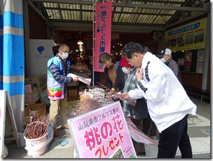 【2月22日（土）焼津さかなセンターで桃の花配布と観光PRをしてきました!!】