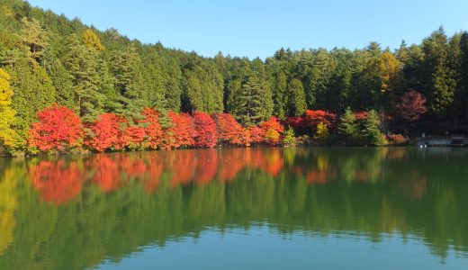 【紅葉祭】inエコパ伊奈ケ湖