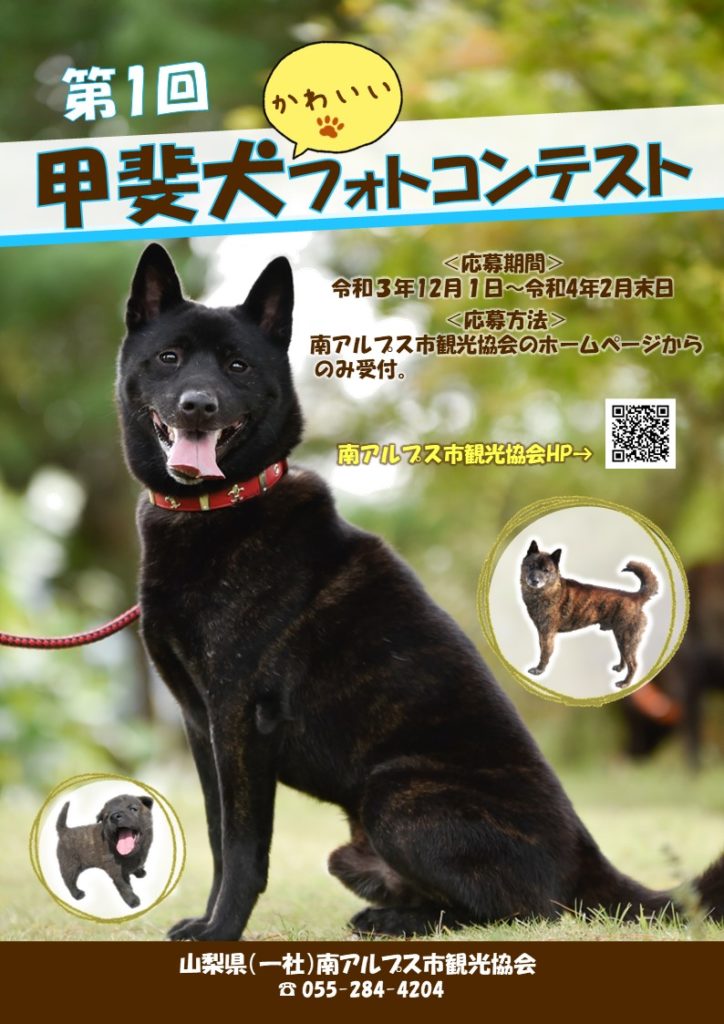 第1回かわいい甲斐犬フォトコンテスト 開催中 一般社団法人 南アルプス市観光協会