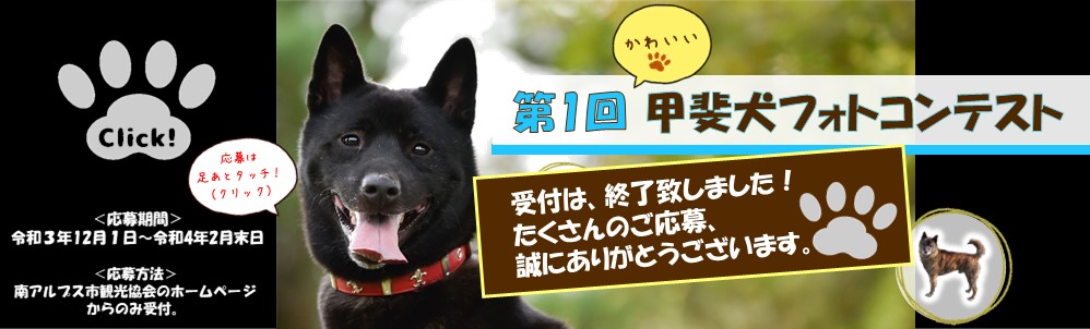 第1回かわいい甲斐犬フォトコンテスト を開催します 一般社団法人 南アルプス市観光協会