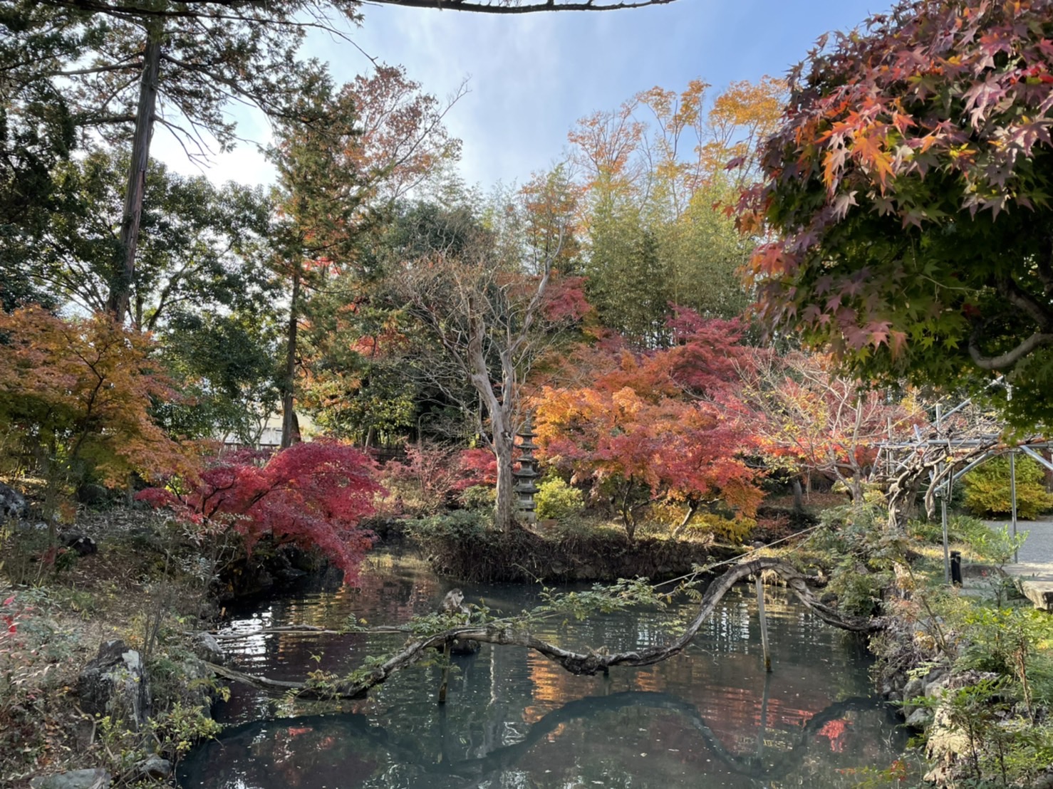 【安藤家住宅・古長禅寺の紅葉】11/18 一般社団法人 南アルプス市観光協会