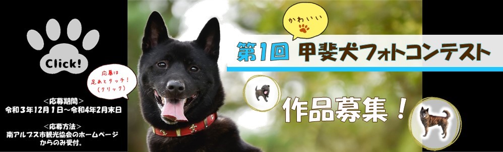 「第1回かわいい甲斐犬フォトコンテスト」を開催します！