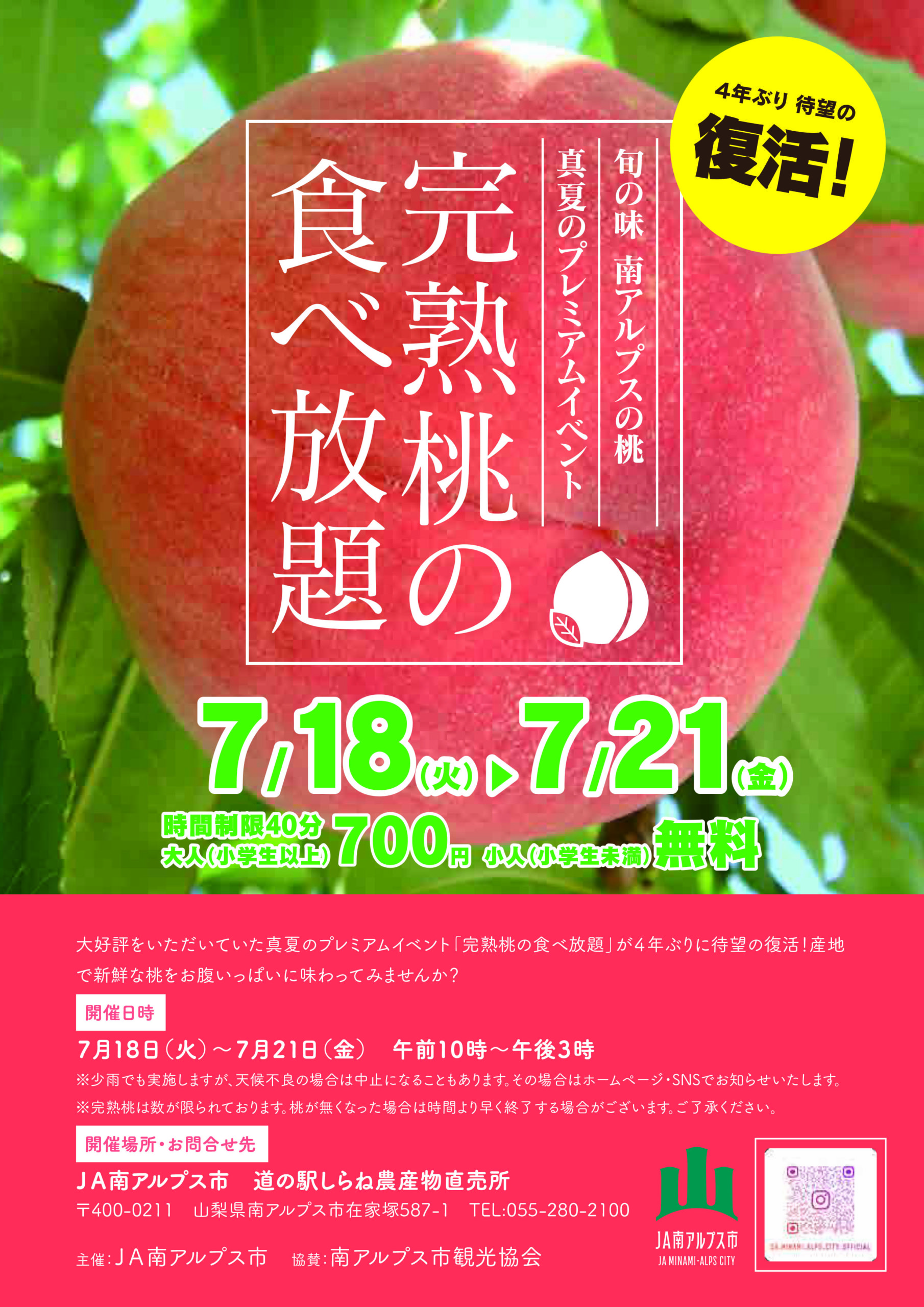 活動歴および当時の関連ビジュアル記録