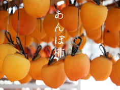 【あんぽ柿】