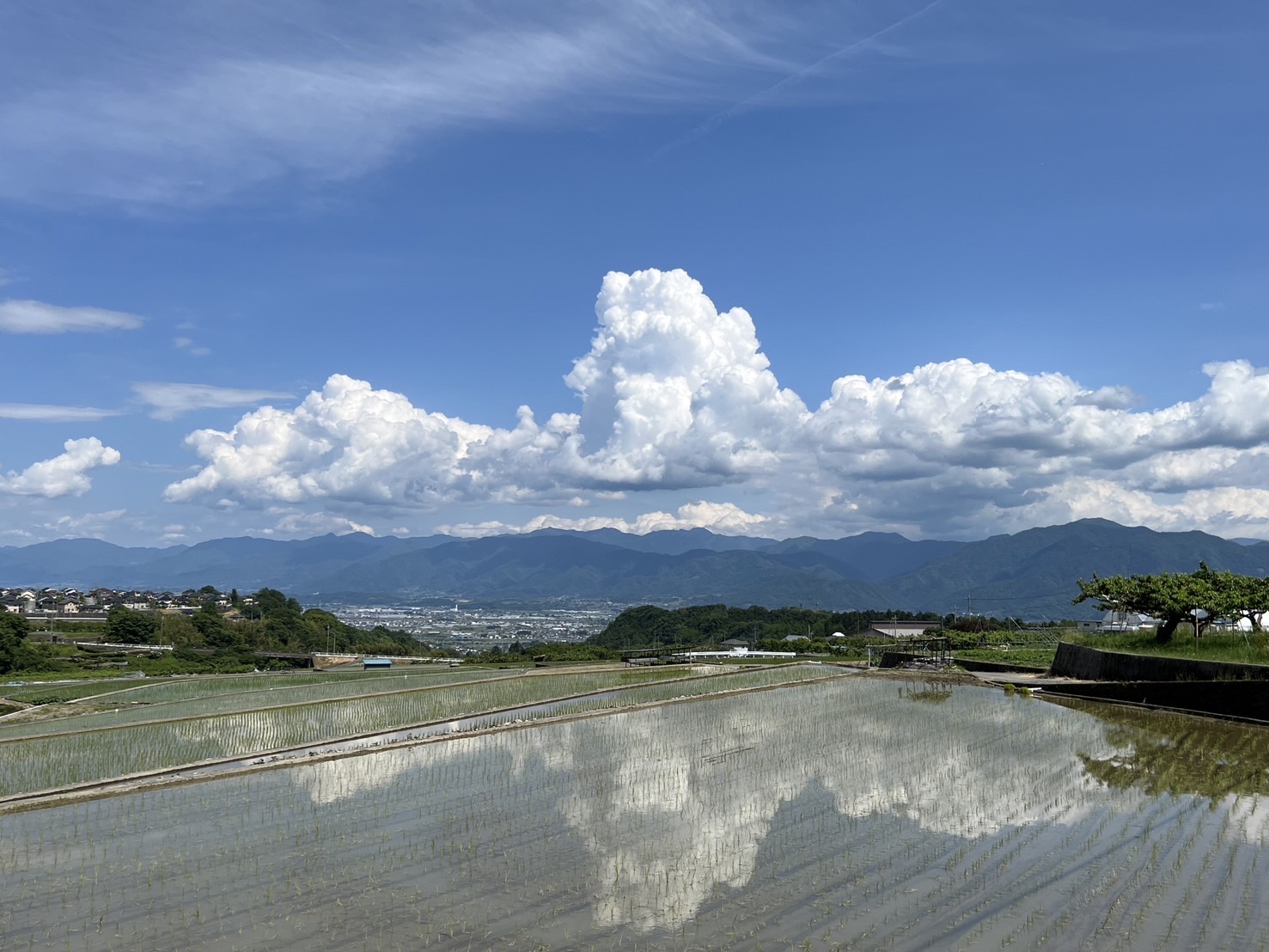 【平岡の棚田】5/28