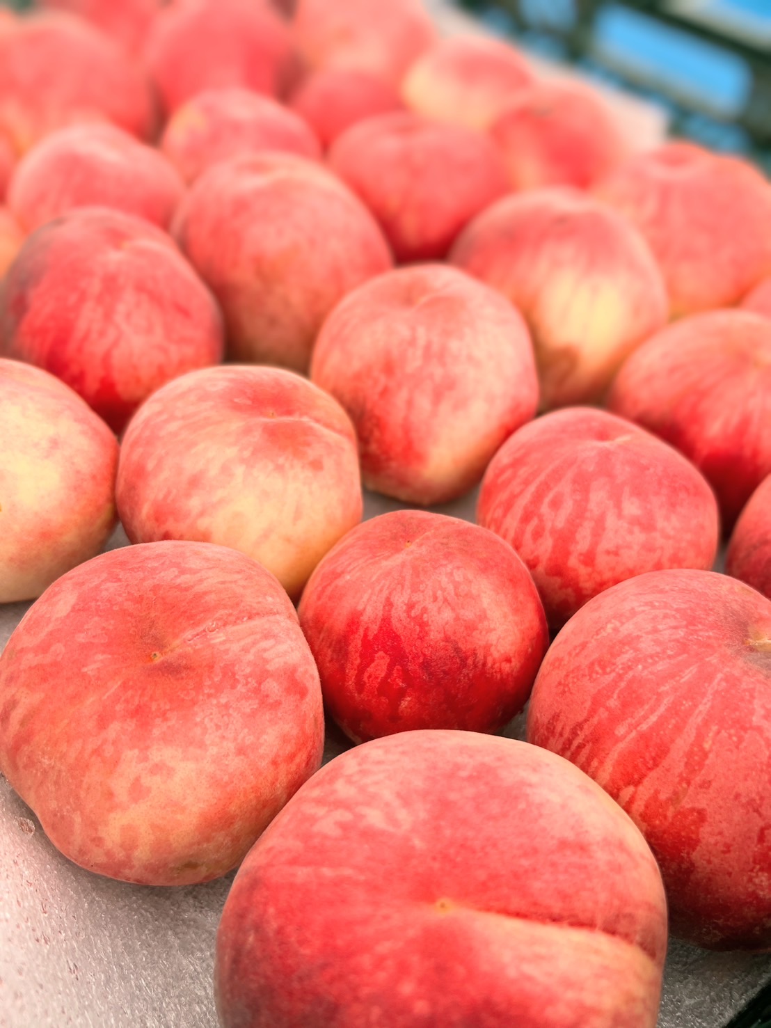 【JA桃の食べ放題】7/17道の駅しらね農産物直売所