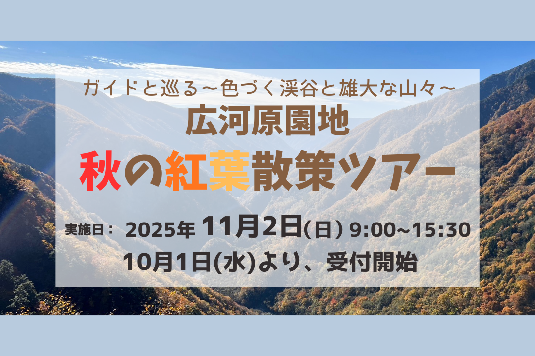 10/2受付終了【11/2(日) 広河原園地秋の紅葉散策ツアー】参加者募集！