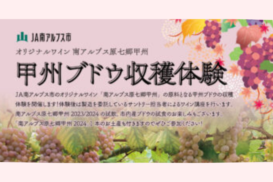 【甲州ブドウ収穫体験】参加者申込受付中！