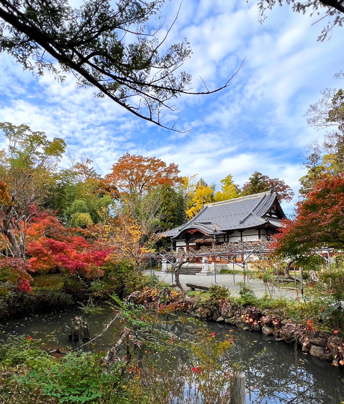 【南アルプス市内 紅葉】11/12