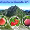 About Minami Alps City