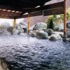 Hot Springs and Country Inns in Minami Alps